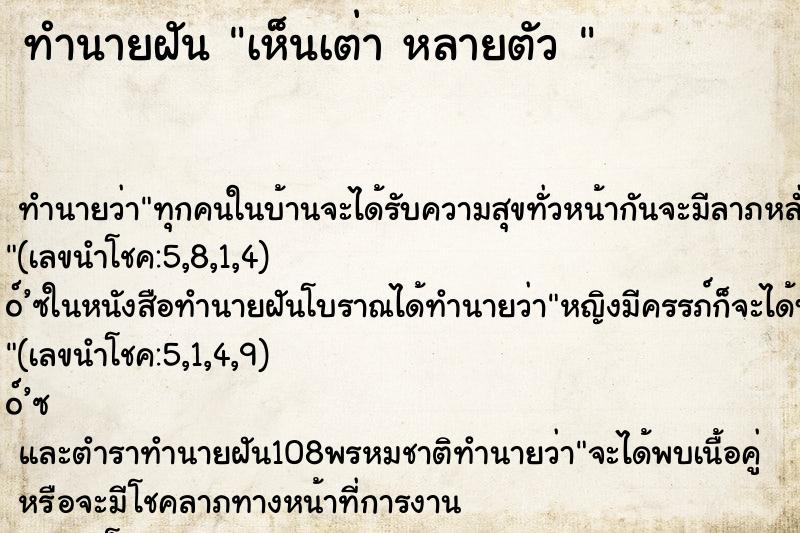 ทำนายฝันทำนายฝันเห็นเต่าหลายตัว